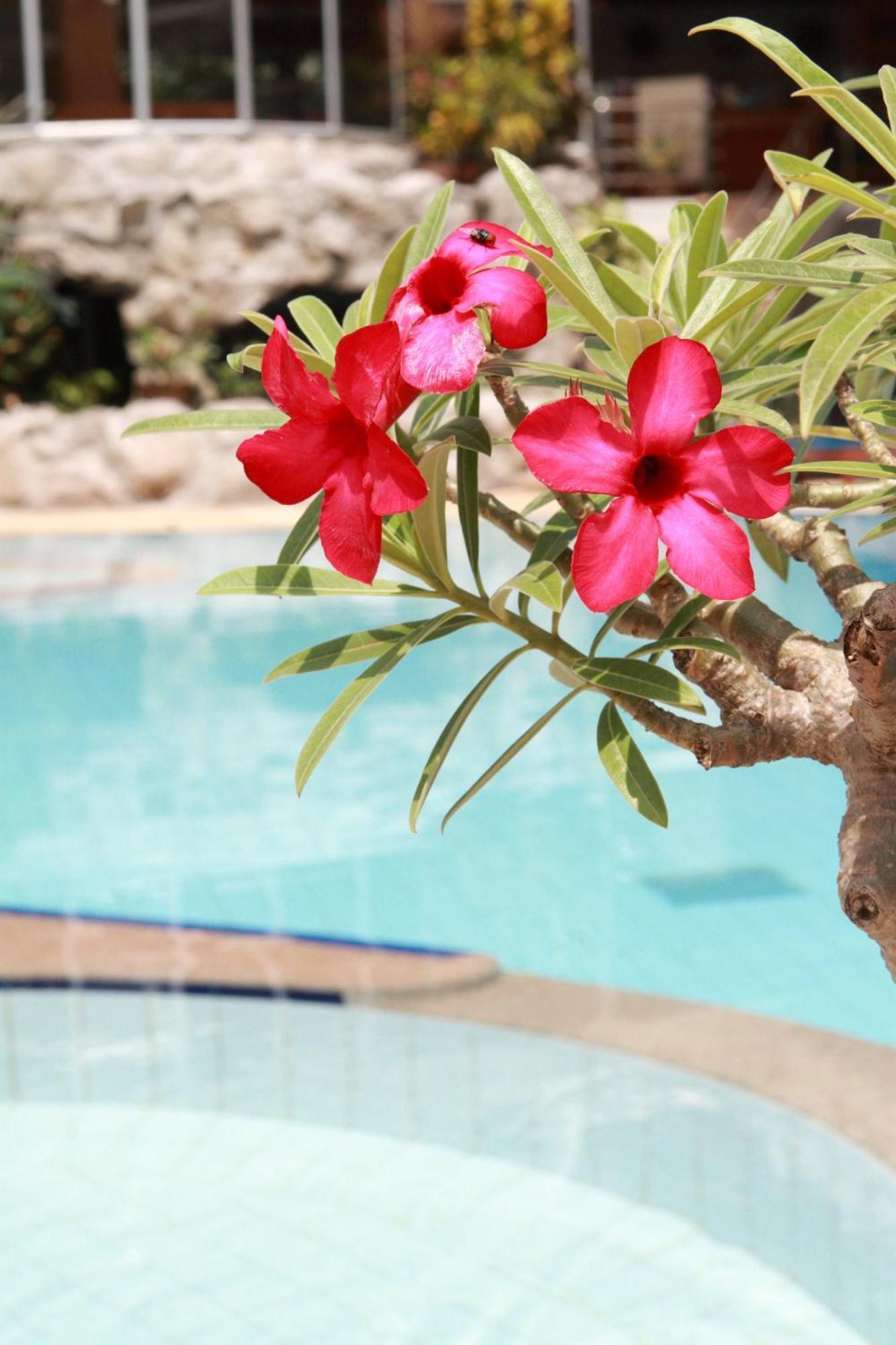 Samui First House Hotel Chaweng  Zewnętrze zdjęcie